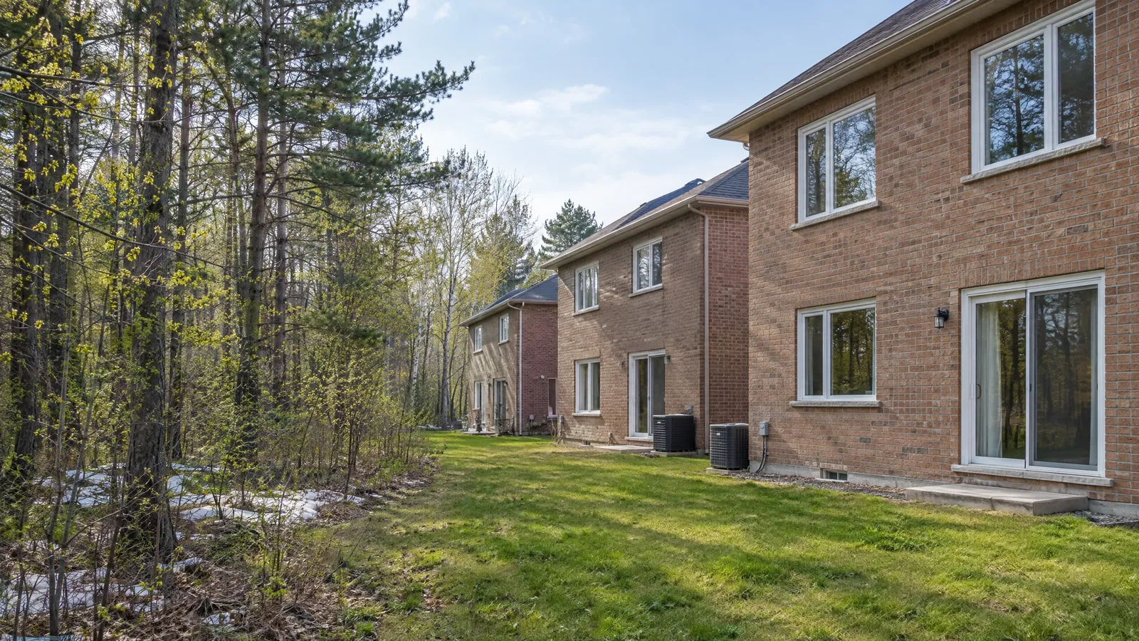 Brick houses on a quiet street backing onto pine and hardwood woodland in early spring
